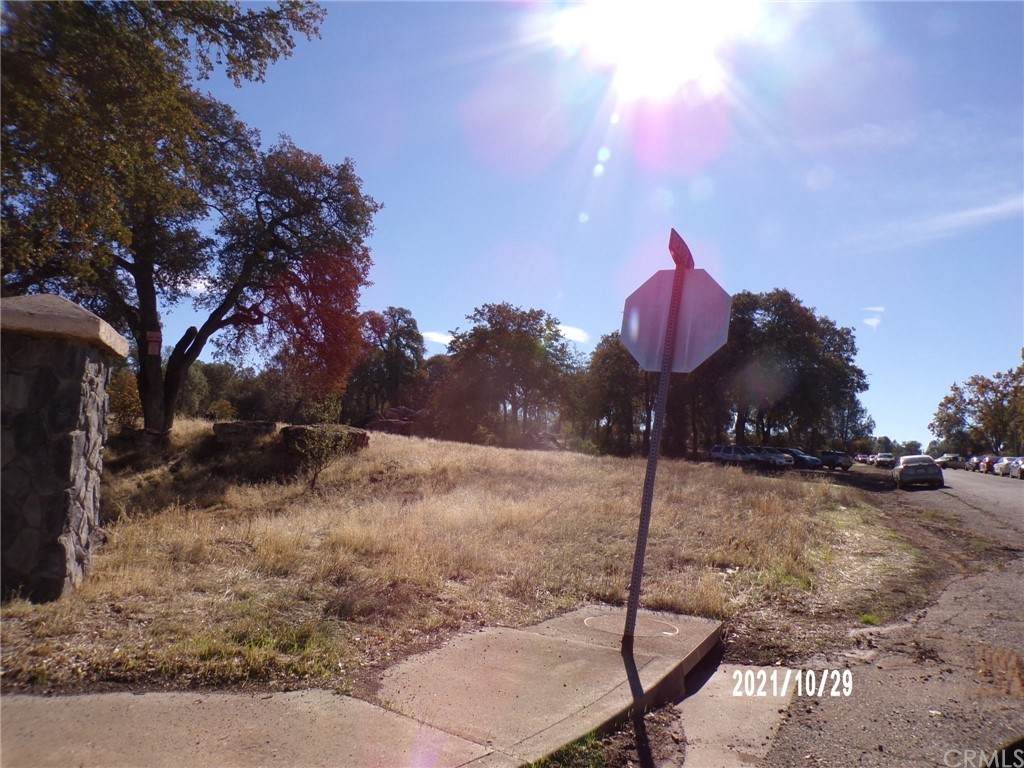 3810 Dexter Lane - Photo 1