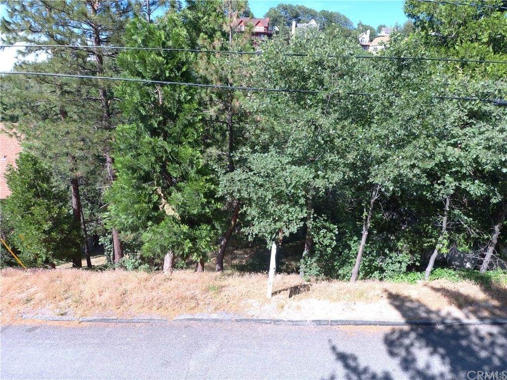 1163 Aleutian Drive - Photo 1