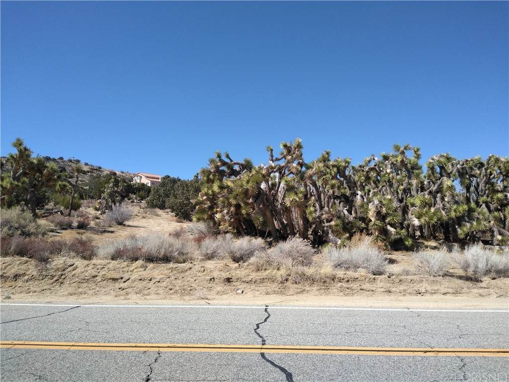 0 Longview Rd & Old Homestead - Photo 1