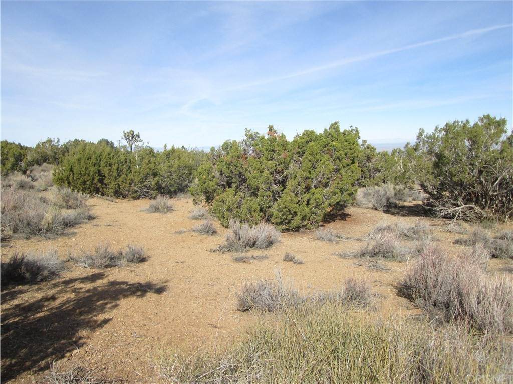 0 Vac/Honeybee Ln & 121 St E - Photo 1