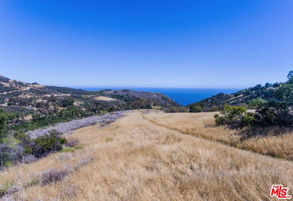 0 Encinal Canyon - Photo 1