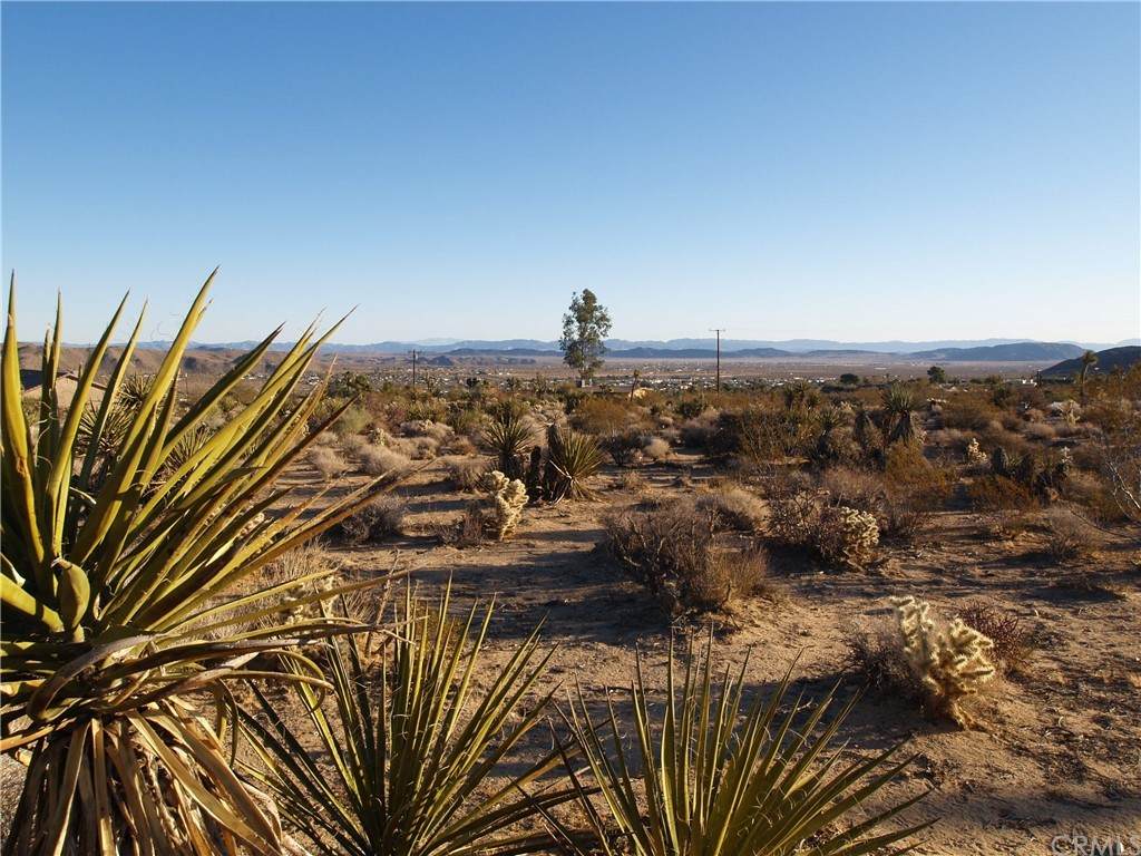7275 Saddleback Road - Photo 1