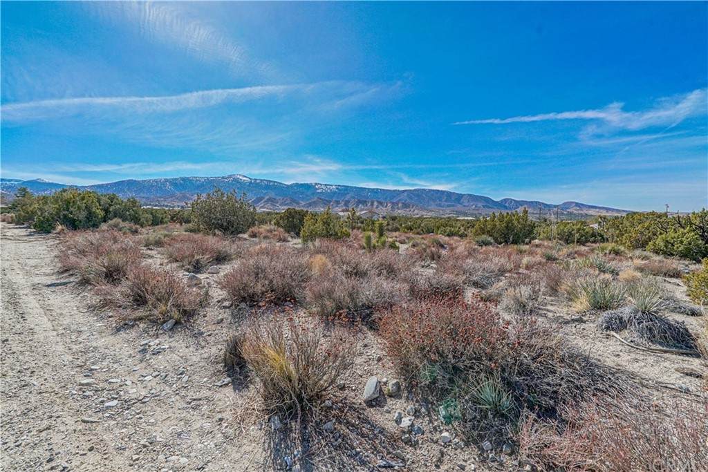 0 Lindero Road - Photo 1