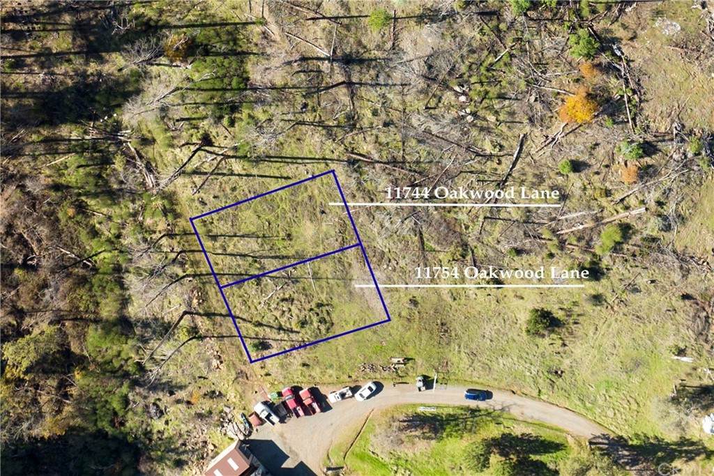 11754 Oakwood Lane - Photo 1
