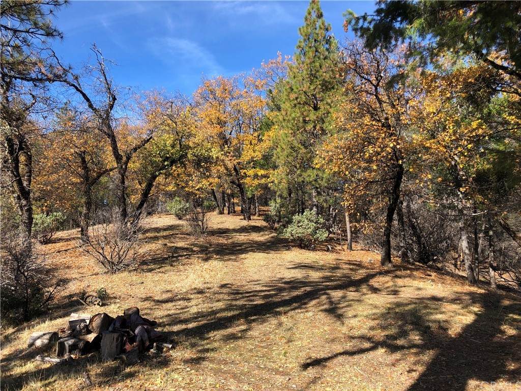 18824 16 N 19 Road - Photo 1