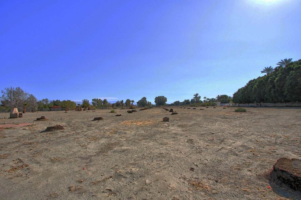 39060 Peterson Road - Photo 1