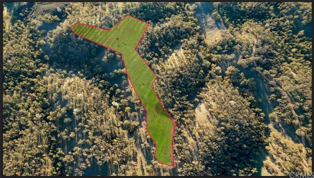 1756 Ogulin Canyon Road - Photo 1