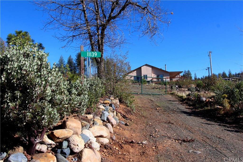 11139 Oak Street - Photo 1