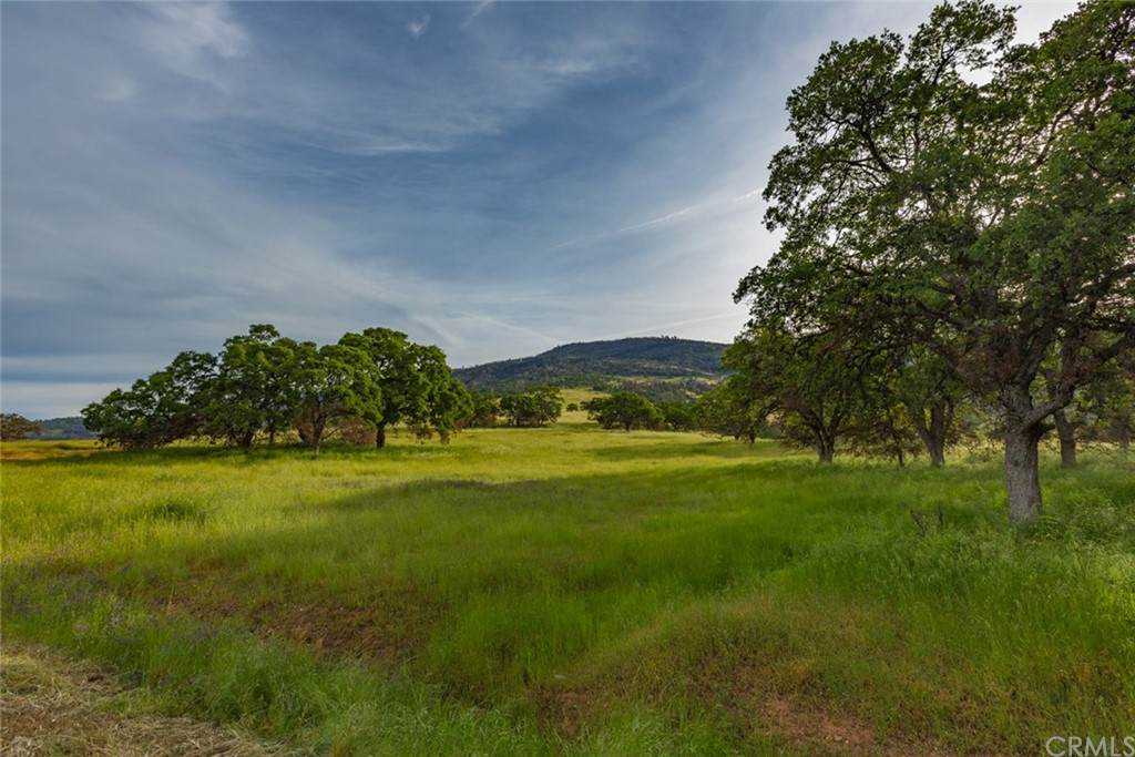 0 Wild Turkey Ln. - Photo 1