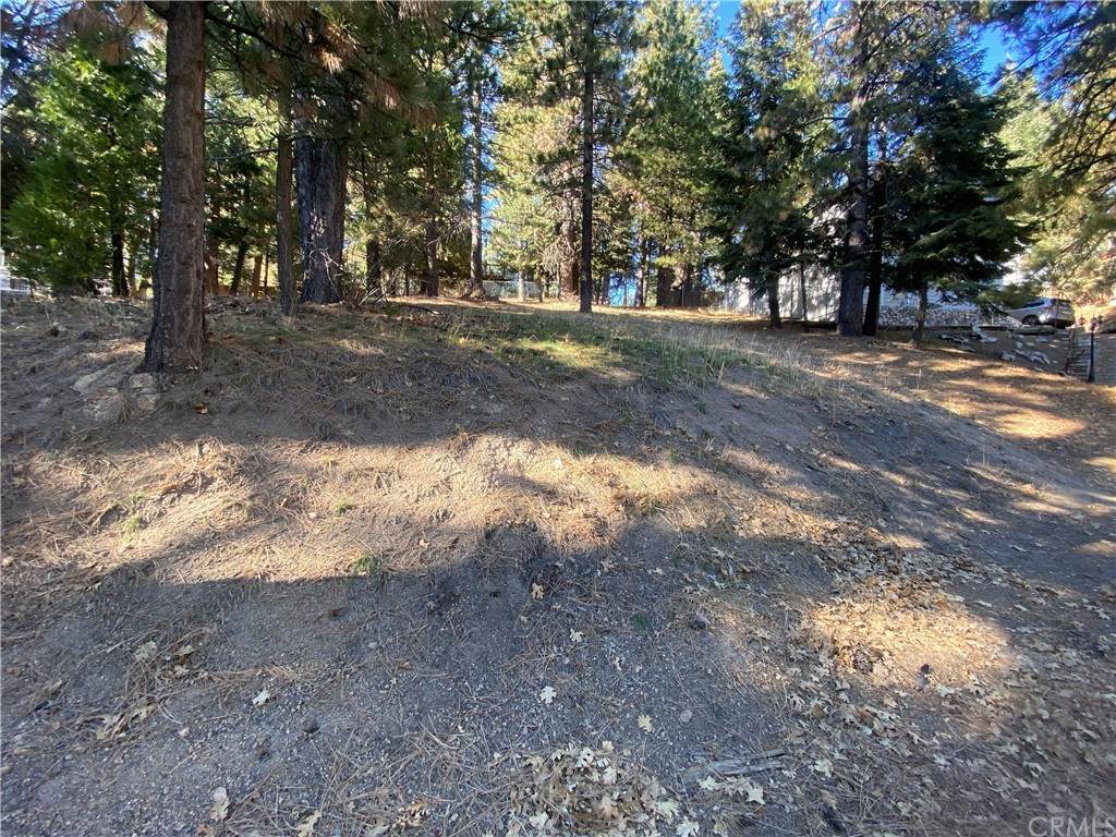0 Wilderness Road - Photo 1