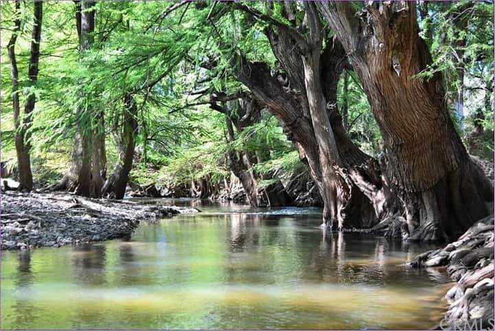 0 Rio Los Salones Y La Villa - Photo 1