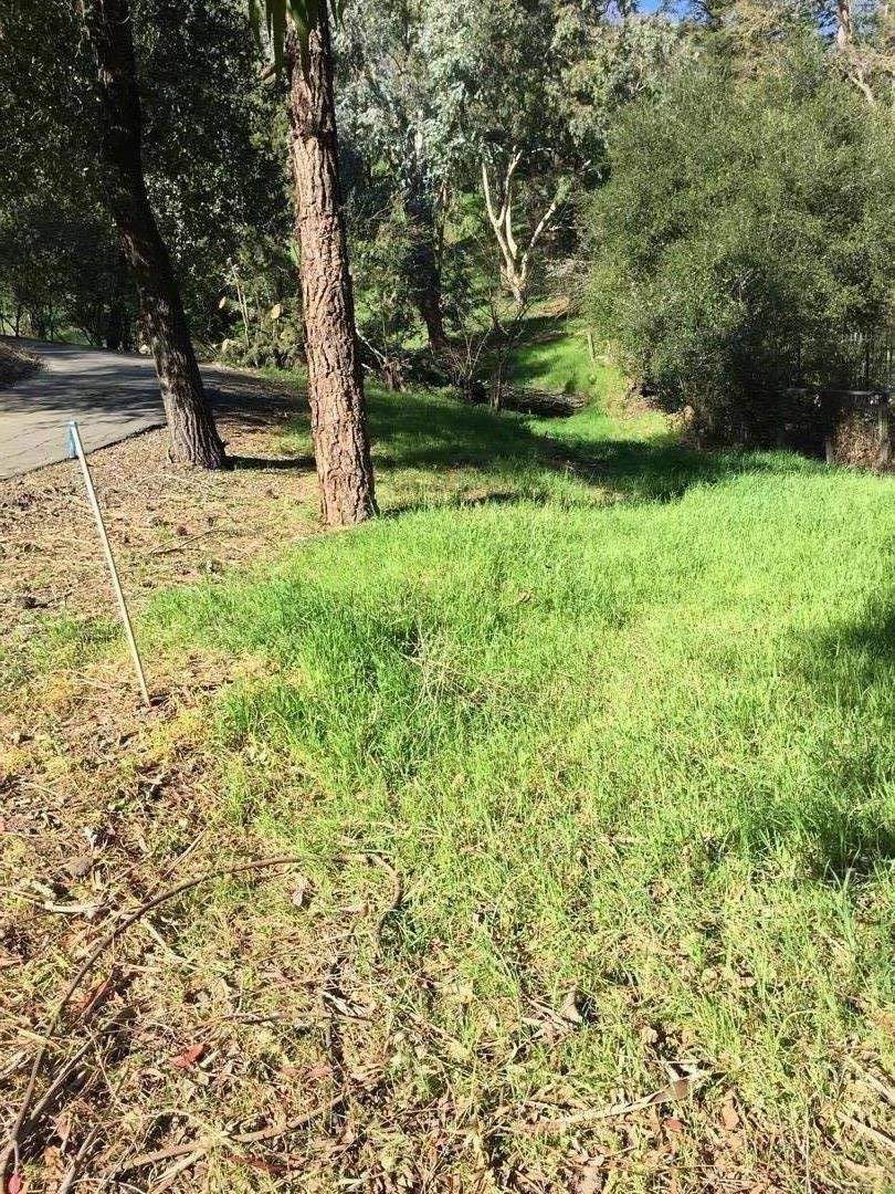 221 Dean Road - Photo 1