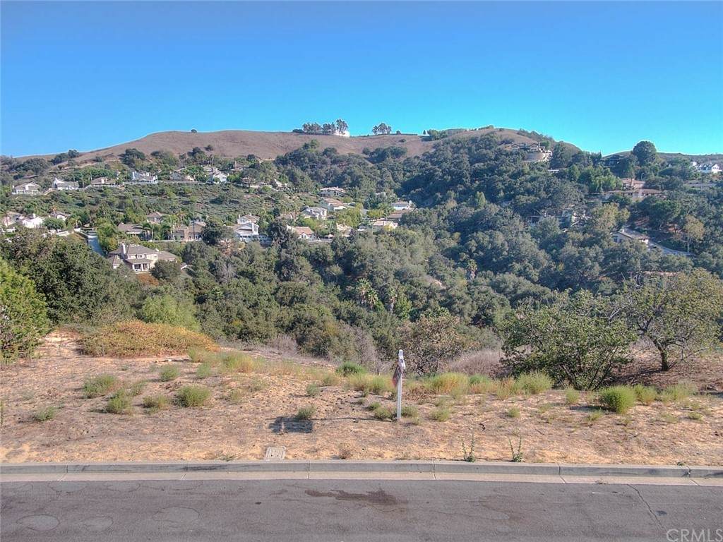 0 Oak Canyon Lane - Photo 1