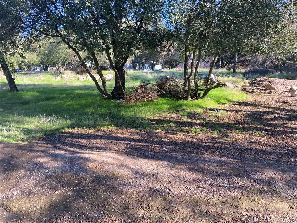 3180 Country Club Drive - Photo 1