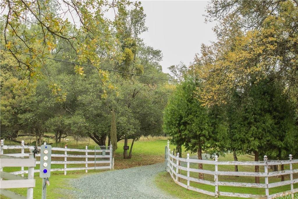 5449 Dogtown Road - Photo 1
