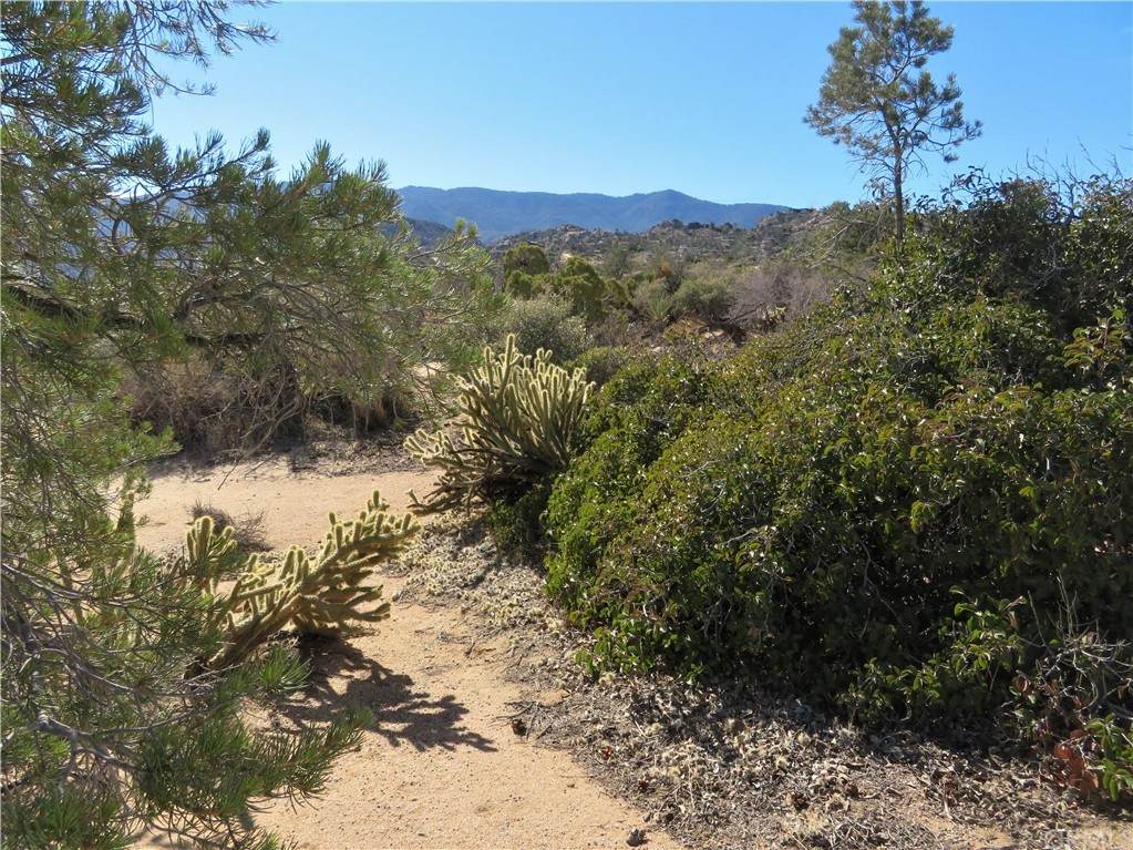 8 Carrizo Road - Photo 1