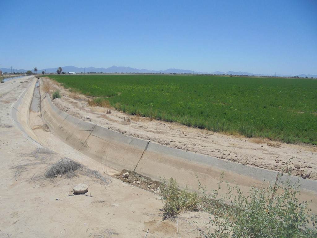141 Water Toll Acres On 8th Avenue - Photo 1