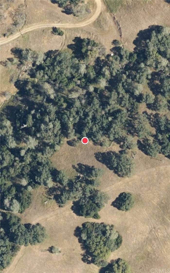 4592 Ferrand Road - Photo 1