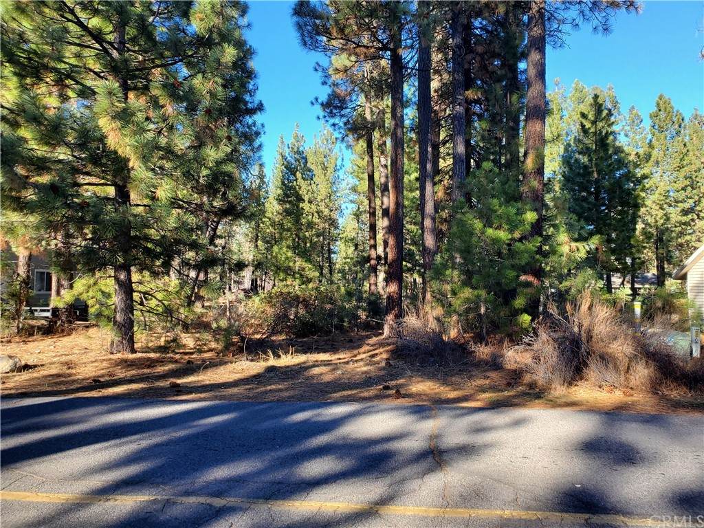633 Pearl Road - Photo 1