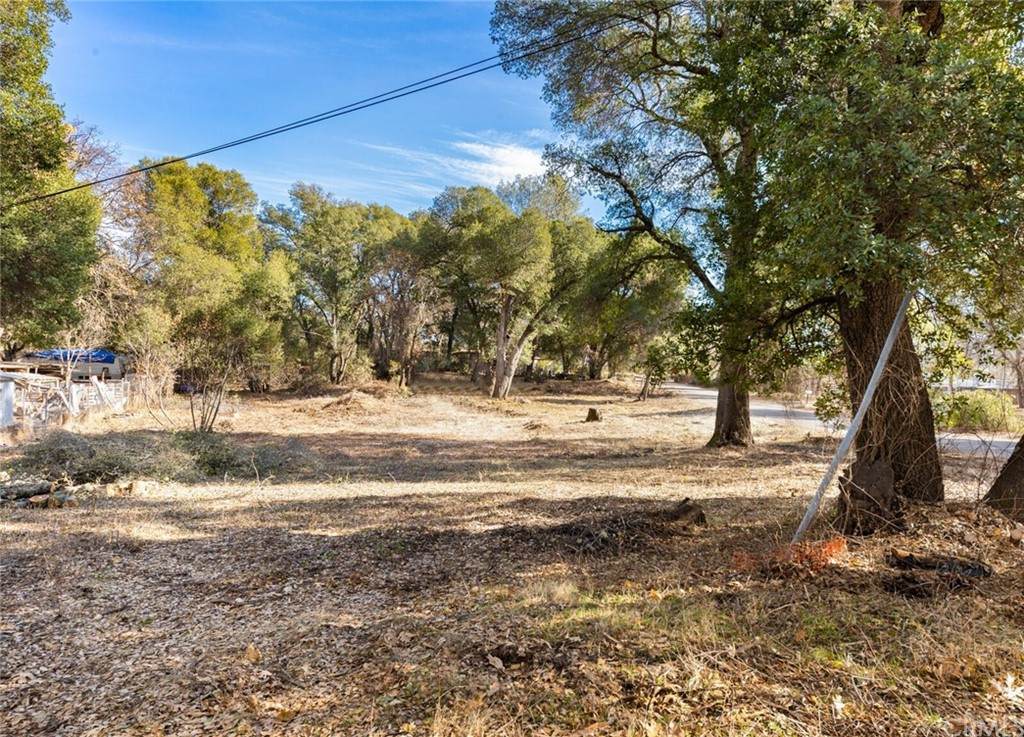 16452 Dam Road - Photo 1