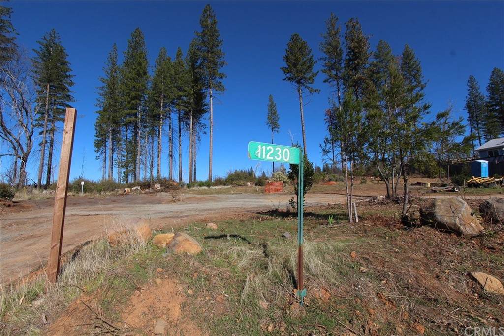 11230 Oak Street - Photo 1