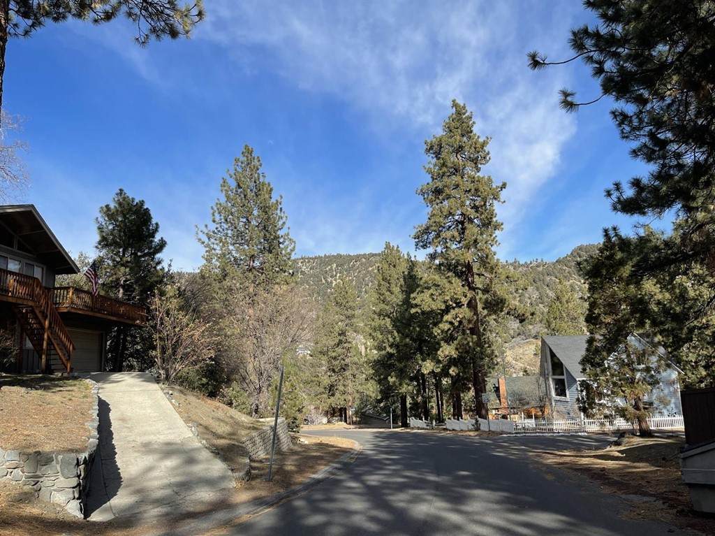 0 Flume Canyon Drive - Photo 1