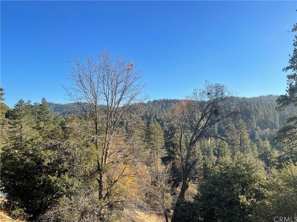 0 Cedar Lane - Photo 1