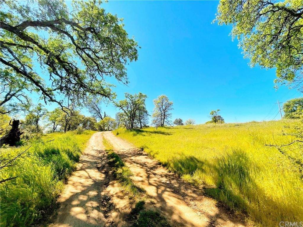 0 Olive Highway - Photo 1