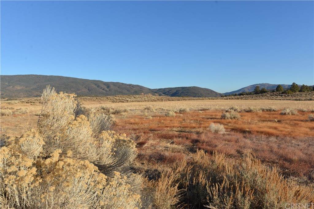 16604 Lockwood Valley Road - Photo 1