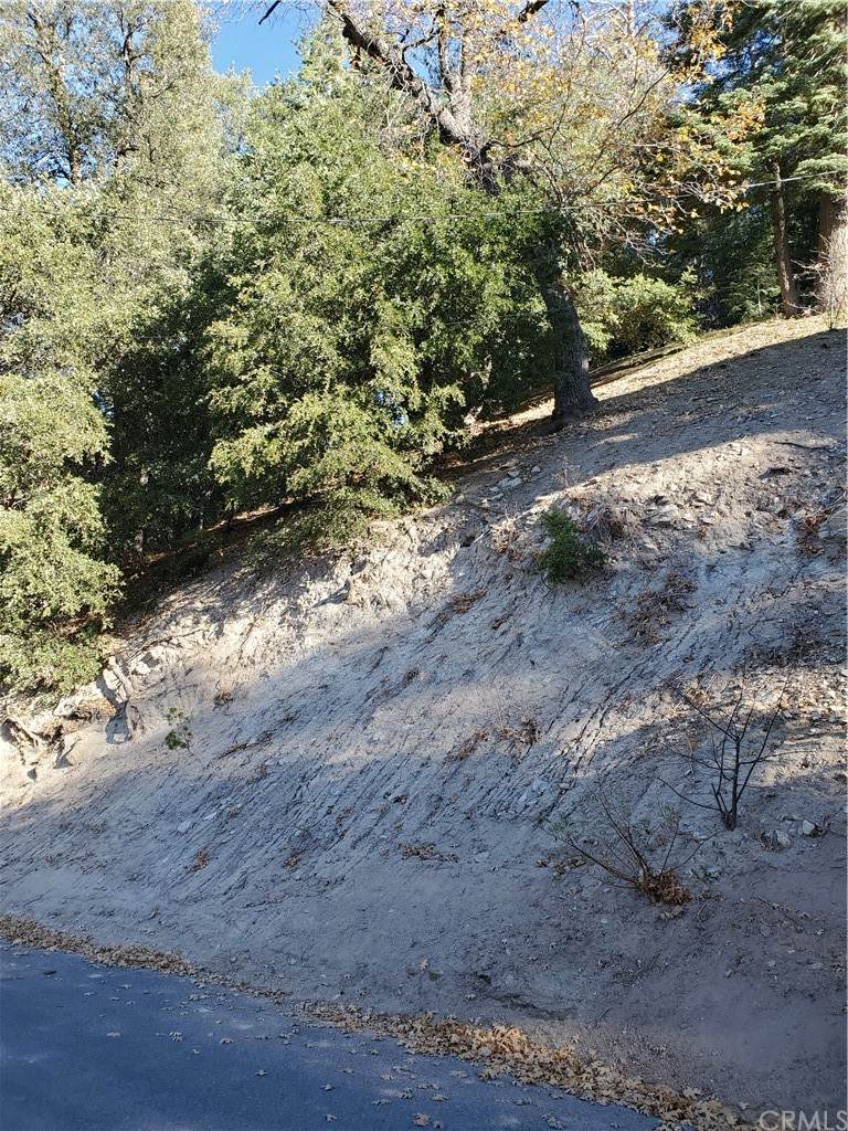 0 Arbula Drive - Photo 1