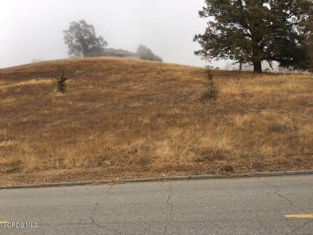 30701 Buckskin Drive - Photo 1