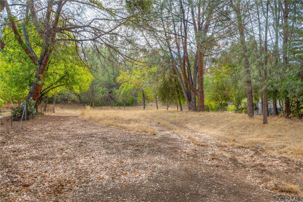 0 Stilson Canyon Road - Photo 1