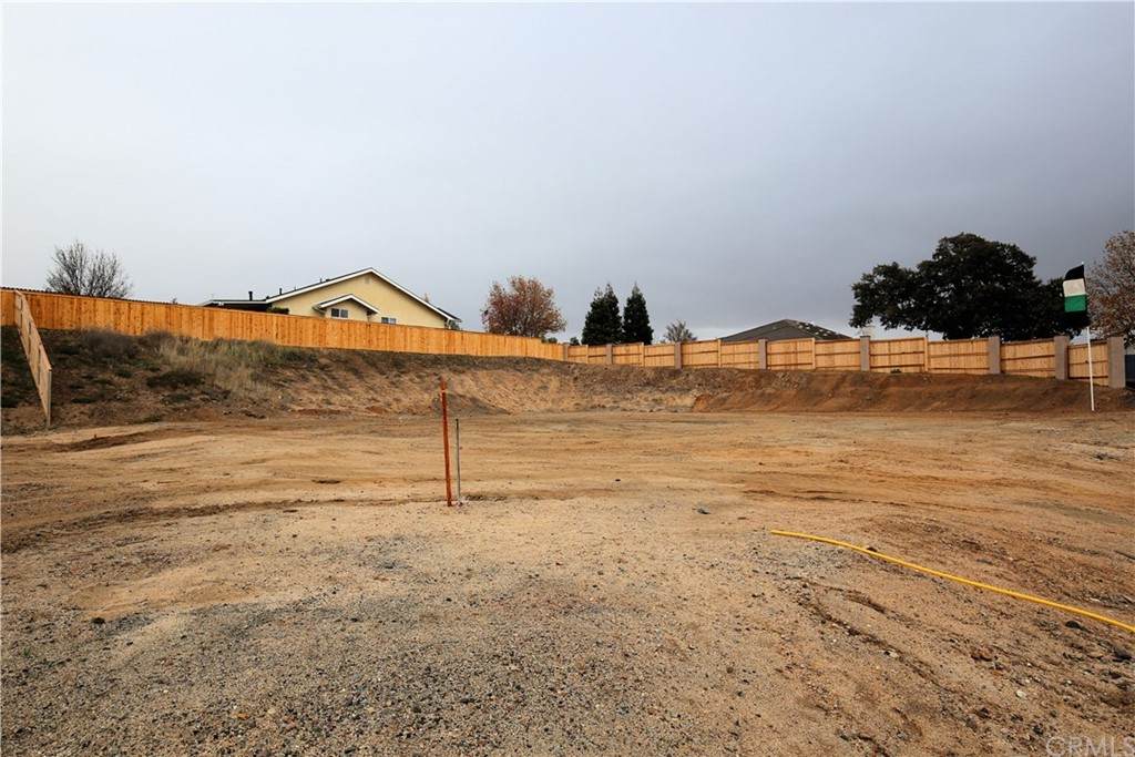 4 Catahoula - Photo 1