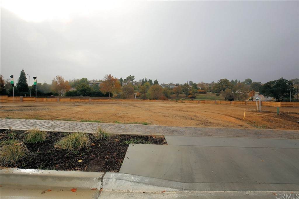 8 Catahoula - Photo 1