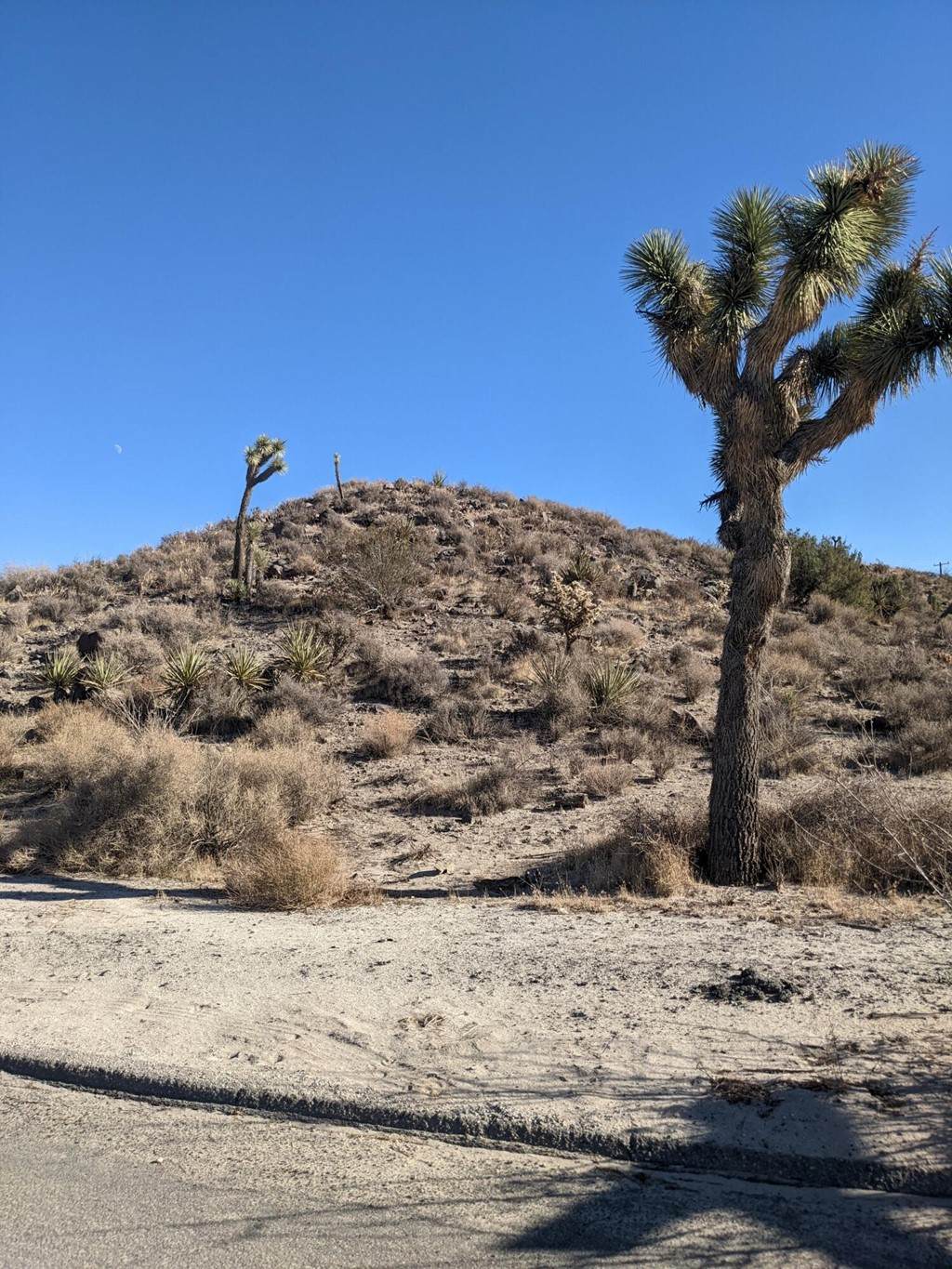 56455 Skyline Ranch Road - Photo 1