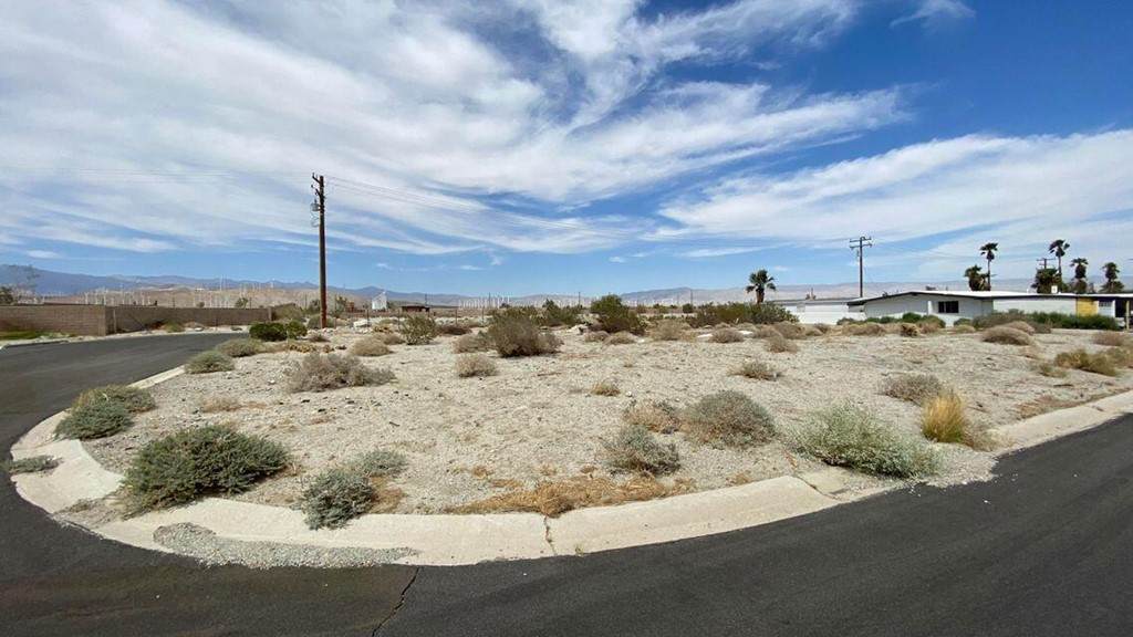 Lot 1 Palm Oasis Avenue - Photo 1
