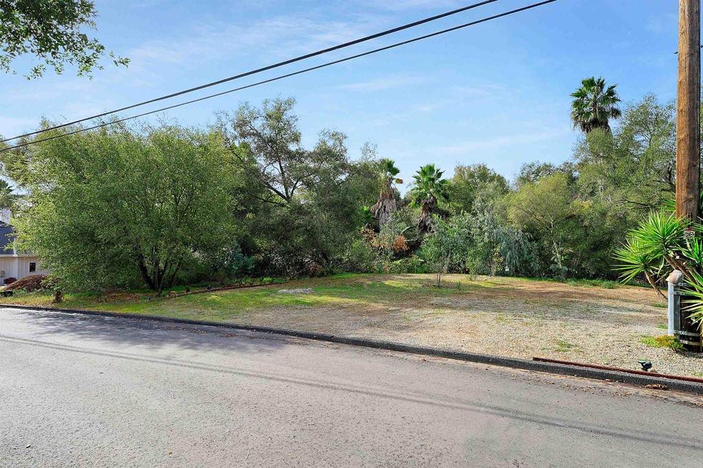 0 Willow Ln - Photo 1