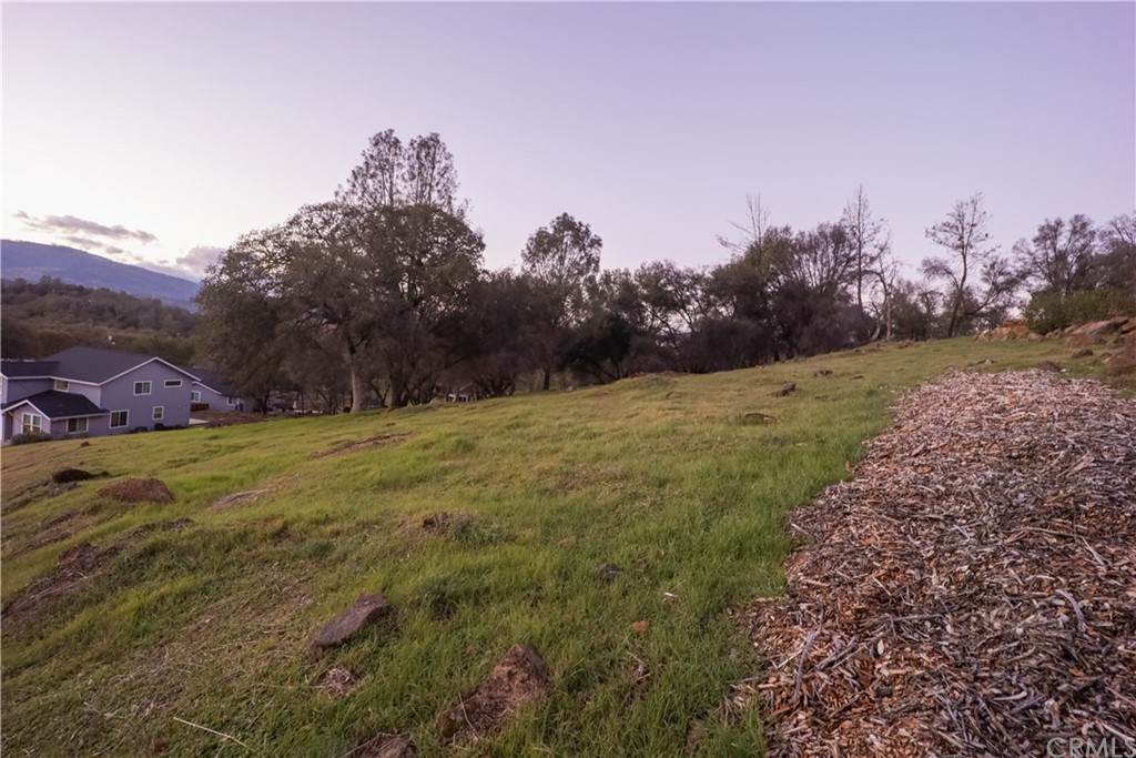 18310 Grizzly Court - Photo 1