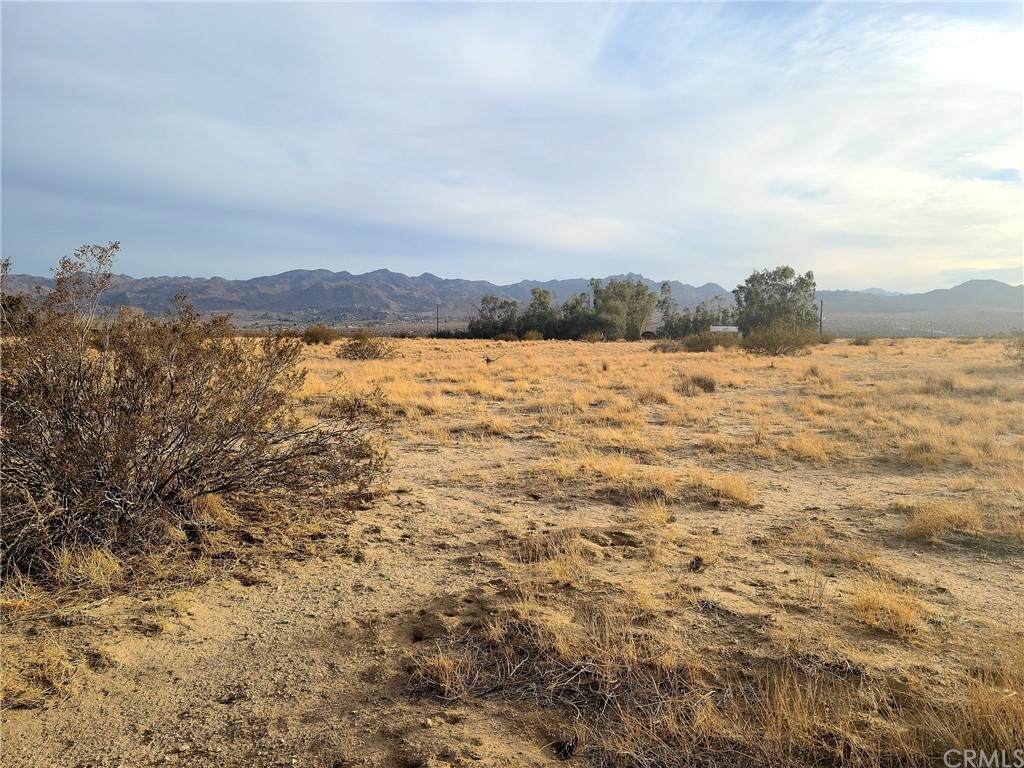 0 Gold Nugget Road - Photo 1