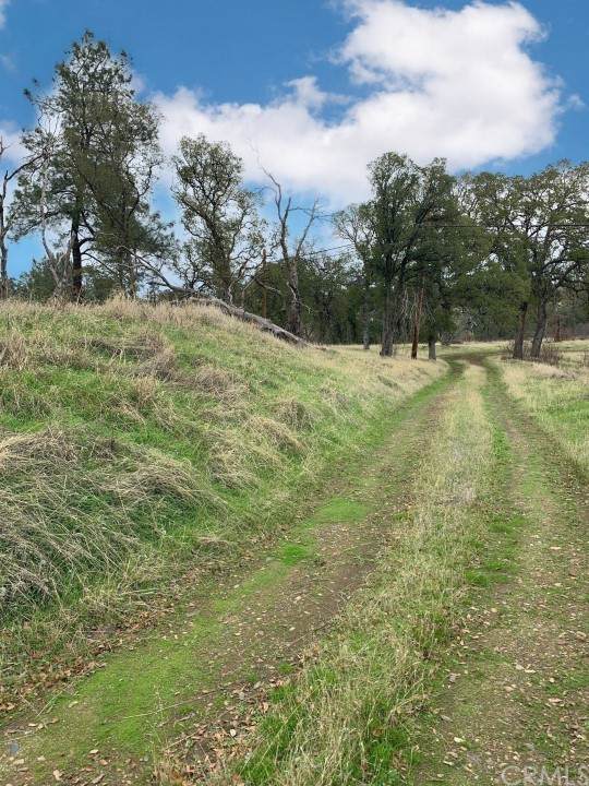 16840 Happy Valley Trail - Photo 1