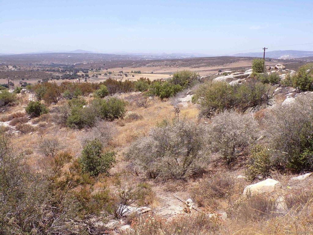 1322 Tierra Del Sol Road - Photo 1