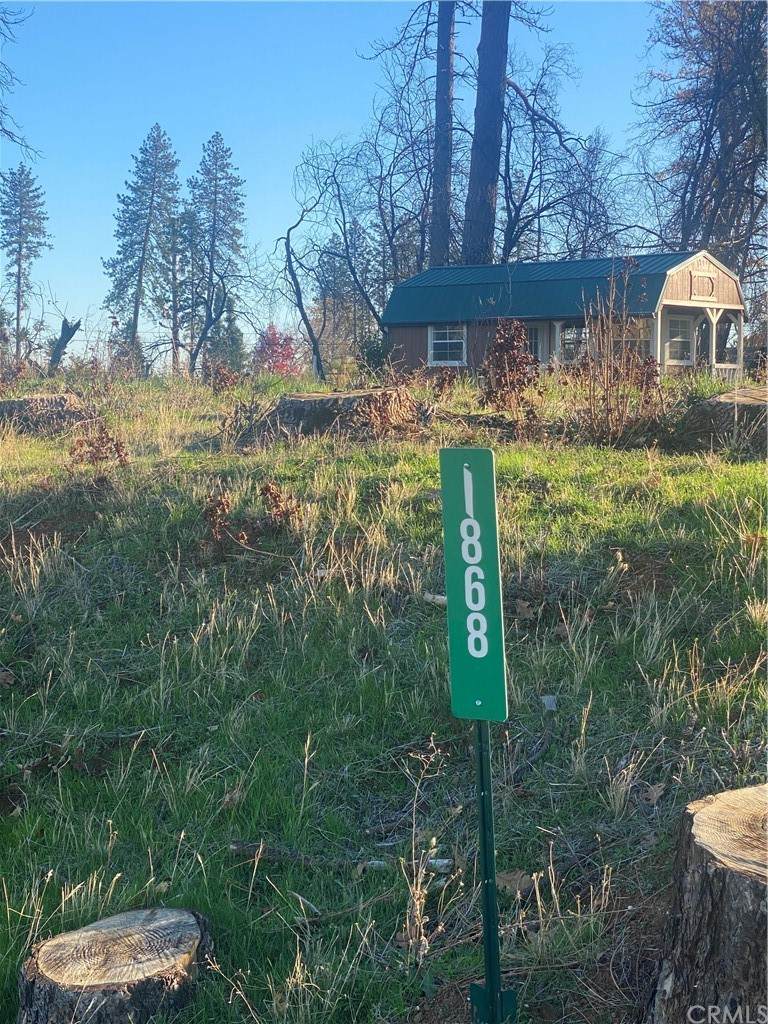 1868 Conifer Drive - Photo 1