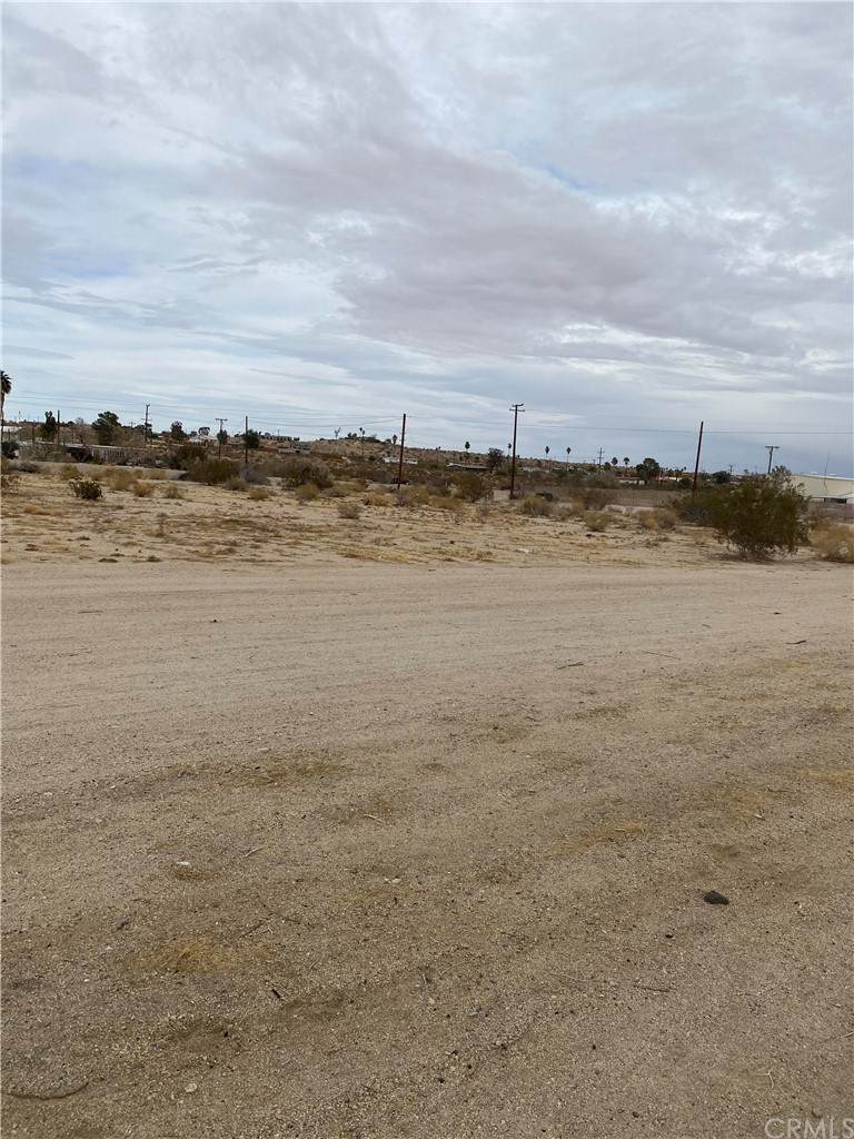 0 Twentynine Palms - Photo 1