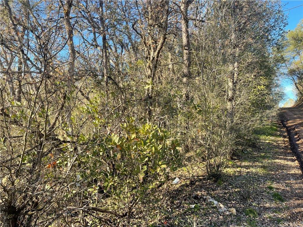 6048 Vallejo Avenue - Photo 1