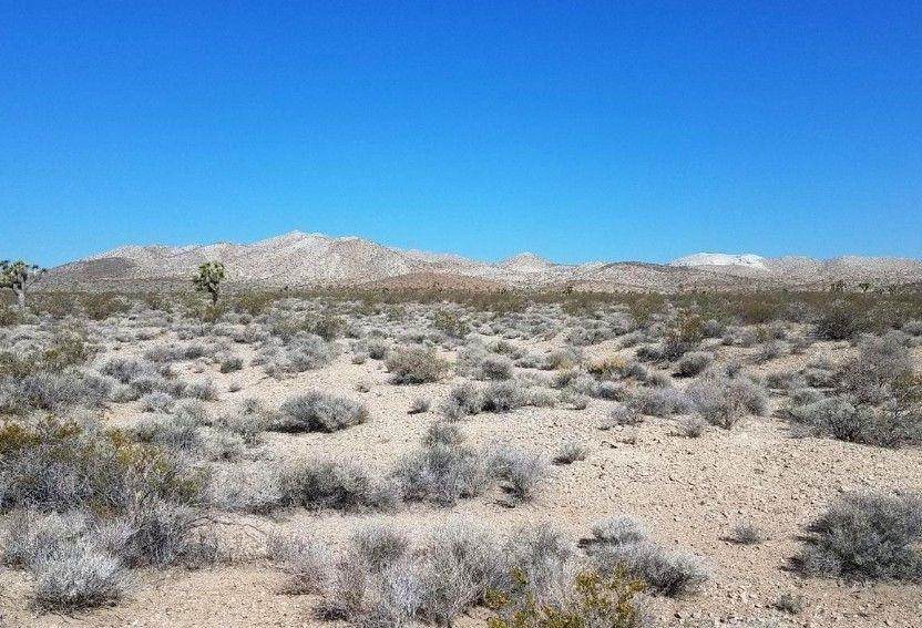 0 Shadow Mountain Road - Photo 1