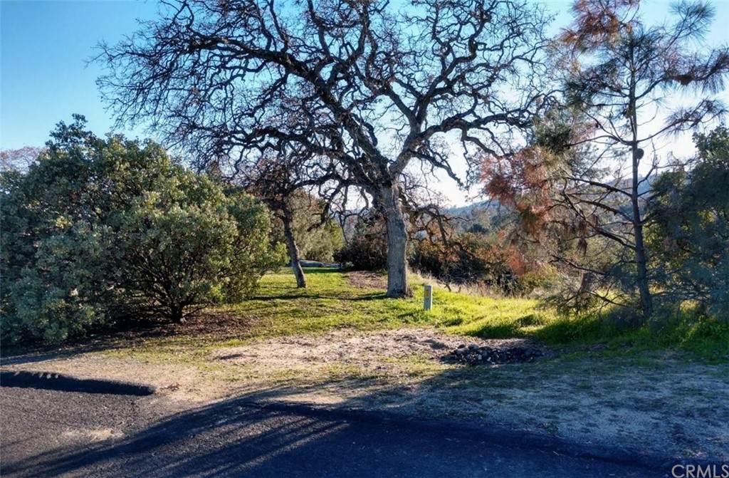 0 Lot 1220 Corral Drive - Photo 1