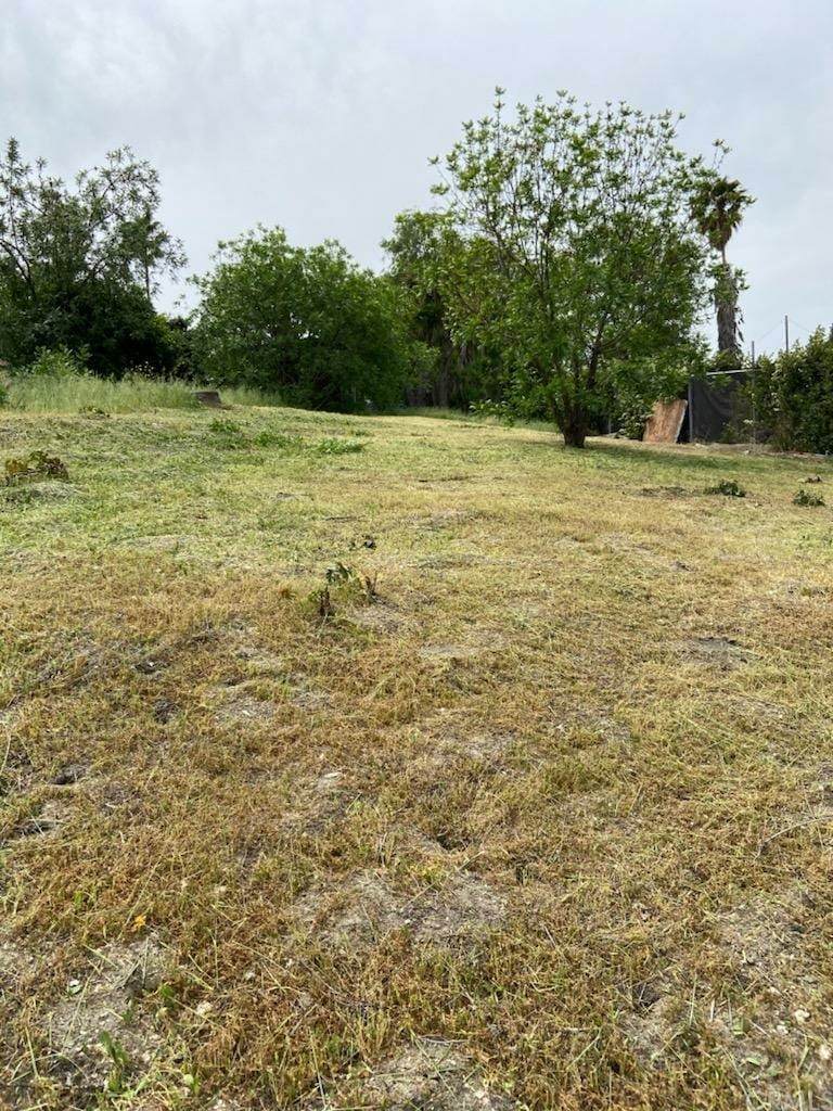 5074 La Calandria Drive - Photo 1