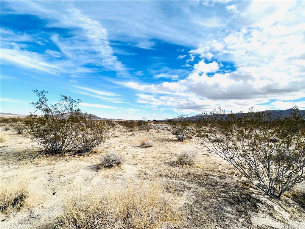 0 Chollita Road - Photo 1