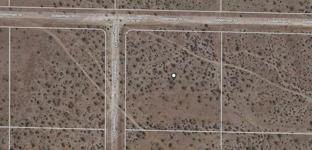 24823 Doberman Street - Photo 1