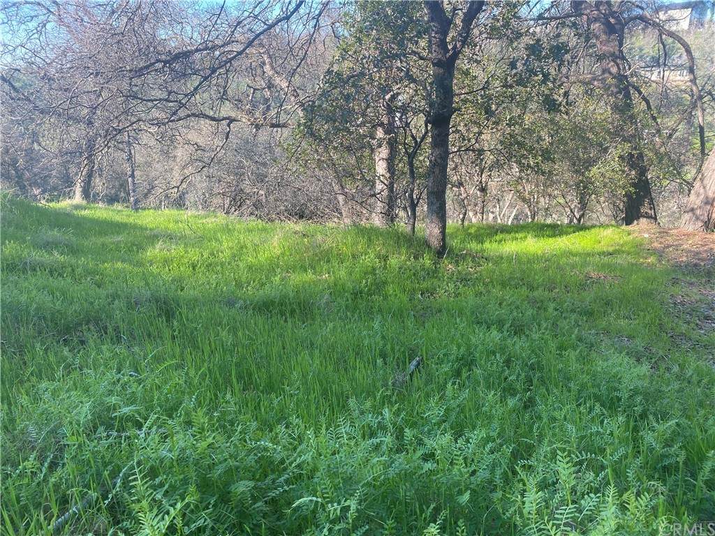175 Lemon Hill Drive - Photo 1